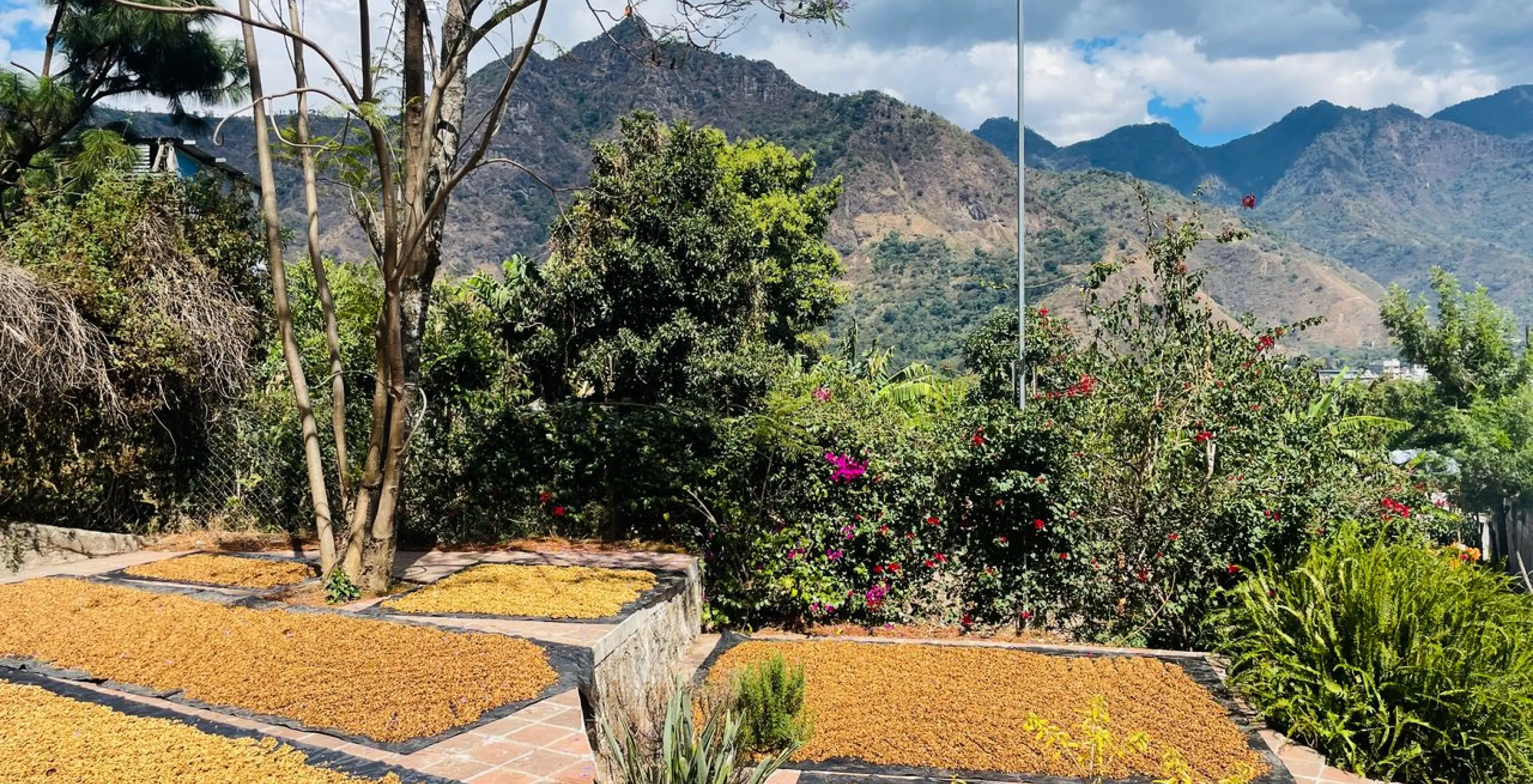 Mountainous rural landscape