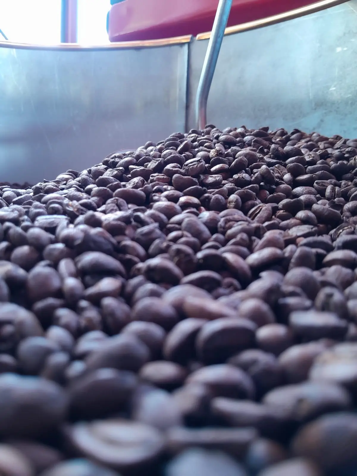 Premium coffee beans